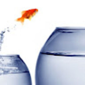 Meet your Posher, Ellie